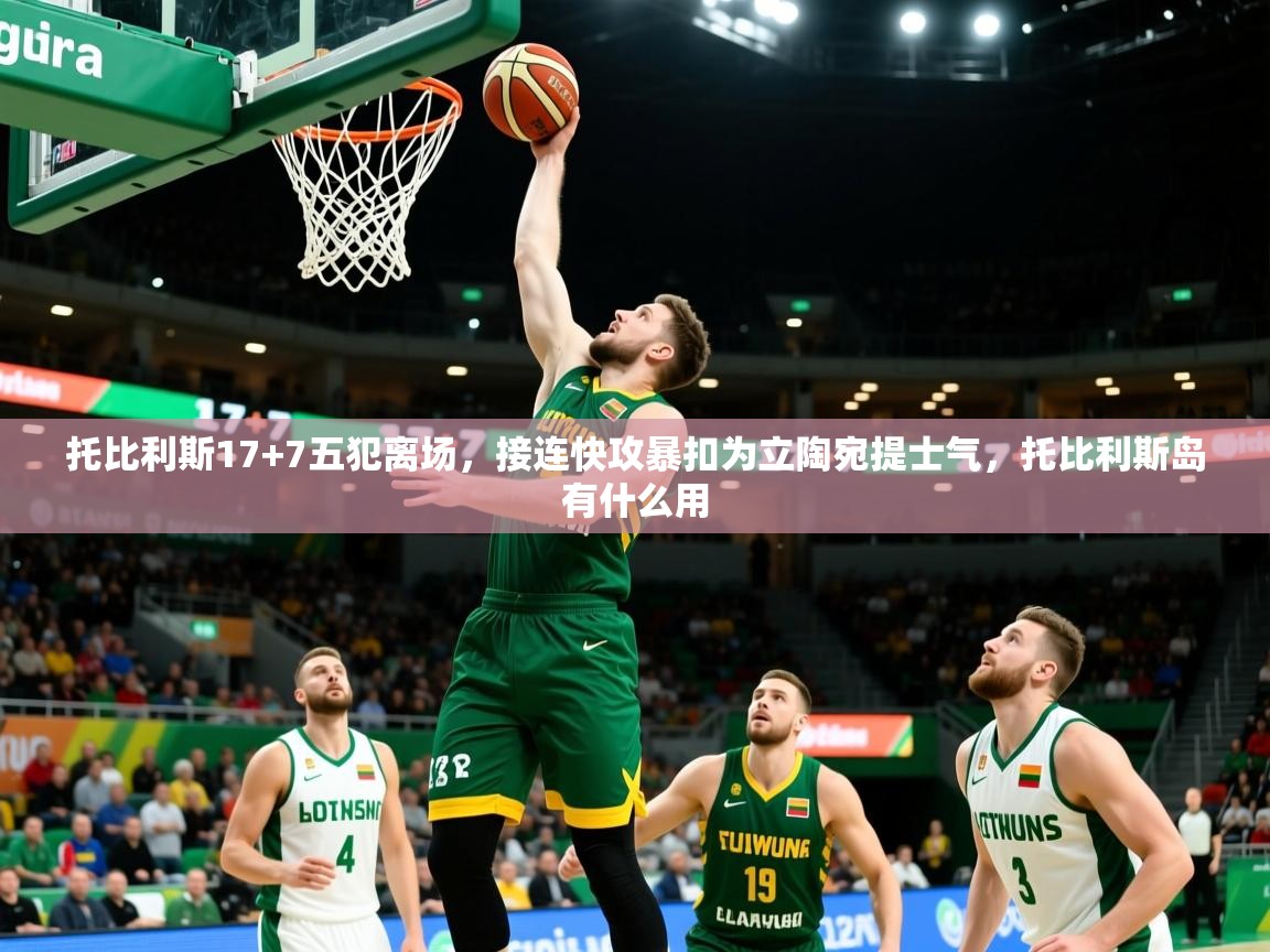 2025九游娱乐网站赞助的不莱梅托比利斯17+7五犯离场,接连快攻暴扣为立陶宛提士气,托比利斯岛有什么用 第1张